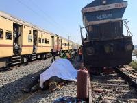 हृदयद्रावक! कळपाला धडकली 'राजधानी'; ७ हत्ती चिरडले, पिल्लू जखमी - Marathi News | Heartbreaking! 'Rajdhani' hits herd; 7 elephants crushed, calf injured | Latest national News at Lokmat.com हृदयद्रावक! कळपाला धडकली 'राजधानी'; ७ हत्ती चिरडले, पिल्लू जखमी - Marathi News | Heartbreaking! 'Rajdhani' hits herd; 7 elephants crushed, calf injured | Latest national News at Lokmat.com