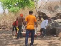 क्रूरतेचा कळस! सख्ख्या भावावर कुऱ्हाडीने वार; मृतदेहाचे केले ९ तुकडे, थरकाप उडवणारी घटना - Marathi News | mandla elder brother killed younger brother chops body into 9 pieces dumps in septic tank | Latest crime News at Lokmat.com