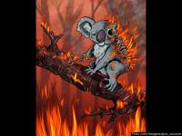 Australia Fire : कलाकारांनी त्यांच्या कलेतून दाखवला आगीचे शिकार झालेल्या प्राण्यांचा आक्रोश, डोळ्यात पाणी आणणारे आहेत चित्र! - Marathi News | Australian bushfires artist pay tribute art to animals suffering in bushfires | Latest social-viral Photos at Lokmat.com