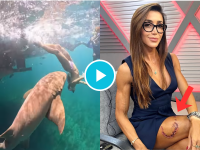 बापरे! फ्रीडायव्हिंग करताना शार्कनं जबड्यात पकडला पाय; अंगाचा थरकाप उडवणारा व्हिडिओ - Marathi News | Tayane Cachoeira Dalazen Bitten By Nurse Shark Mid-Surf, Video Goes Viral | Latest social-viral News at Lokmat.com बापरे! फ्रीडायव्हिंग करताना शार्कनं जबड्यात पकडला पाय; अंगाचा थरकाप उडवणारा व्हिडिओ - Marathi News | Tayane Cachoeira Dalazen Bitten By Nurse Shark Mid-Surf, Video Goes Viral | Latest social-viral News at Lokmat.com