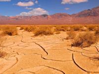 जगातल्या 'या' ठिकाणी पारा पोहोचतो 55 डिग्रीच्या वर - Marathi News | The temperature of this place in the world is above 55 degrees | Latest international Photos at Lokmat.com