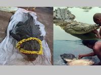 Babiya Crocodile Died: जगातील एकमेव 'शाकाहारी' मगरीचा मृत्यू; केरळमधील मंदिरात 75 वर्षांपासून होते वास्तव्य... - Marathi News | Babiya Crocodile Died: World's Only Vegetarian Crocodile Dies; lived in a temple in Kerala for 75 years... | Latest national Photos at Lokmat.com