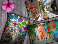 'हे' आहेत जगातील सर्वात सुंदर रस्ते - Marathi News | 5 most beautiful streets of the world | Latest jarahatke Photos at Lokmat.com