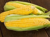 पावसाळ्यात मका खाता? मग मक्क्याचे 'हे' फायदे नक्की वाचा - Marathi News | impressive benefits of corn | Latest food Photos at Lokmat.com