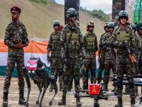 क्रॉस बॉर्डरवर भारताचा दबदबा वाढणार; ६ महिन्यात भारतीय सैन्यात सज्ज होणार '२० भैरव बटालियन' - Marathi News | India dominance on the cross border will increase; India to raise 25 lite Bhairav Battalions in 6 months | Latest national Photos at Lokmat.com