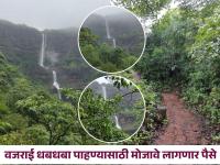सातारा : वेडीवाकडी वळणं अन् हिरवीगार झाडी; देशातील सर्वाधिक उंचीचा धबधबा, PHOTOS - Marathi News | Bhambvali Vajrai Falls at Petri in Jawli Taluka of Satara District is the largest | Latest satara Photos at Lokmat.com