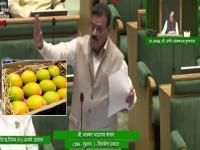 'स्वाभिमानाने जगणारा कोकणातला शेतकरी आज चिंतेत', वलसाड हापूसवरून भास्कर जाधव आक्रमक - Marathi News | Maharashtra Assembly Winter Session 2025: 'Konkan farmers who live with self-respect are worried today', Bhaskar Jadhav is aggressive on Valsad Hapus | Latest maharashtra News at Lokmat.com 'स्वाभिमानाने जगणारा कोकणातला शेतकरी आज चिंतेत', वलसाड हापूसवरून भास्कर जाधव आक्रमक - Marathi News | Maharashtra Assembly Winter Session 2025: 'Konkan farmers who live with self-respect are worried today', Bhaskar Jadhav is aggressive on Valsad Hapus | Latest maharashtra News at Lokmat.com