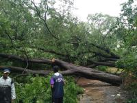 मीरा-भार्इंदरमध्ये घरांमध्ये शिरलं पावसाचं पाणी, वीजेचाही खेळखंडोबा - Marathi News |  Mira-Bhairindar has rain water in the houses, power play block | Latest vasai-virar Photos at Lokmat.com