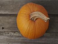 थंडीत आहारामध्ये भोपळ्याचा समावेश करणं ठरतं फायदेशीर; जाणून घ्या फायदे! - Marathi News | reasons you must eat pumpkins or kaddu or bhopla regularly | Latest food Photos at Lokmat.com