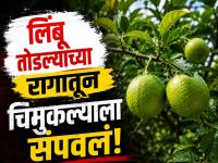 Shocking: खळबळजनक! लिंबू तोडल्याच्या रागातून १२ वर्षीय मुलाची निर्घृण हत्या; १२ जणांना अटक - Marathi News | Shocking: 12-Year-Old Boy Beaten to Death Over Plucking Lemon in Bihar Nalanda | Latest national News at Lokmat.com