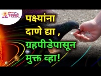 पक्ष्यांना दाणे द्या, ग्रहपीडे पासून मुक्त व्हा! Lokmat Bhakti
