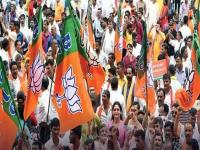 Shahada Nagar Parishad Election Result: २९ पैकी २० जागा भाजपाने जिंकल्या, पण नगराध्यक्षद जनता विकास आघाडीकडे - Marathi News | Shahada Nagar Parishad Election Result: BJP won 20 out of 29 seats, but the Mayor post went to Janata Vikas Aghadi | Latest nandurbar News at Lokmat.com