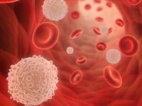 कोरोनाच्या संक्रमणात रक्तगटाचीही महत्त्वाची भूमिका; 'या' लोकांना जास्त धोका - Marathi News | type a blood catch coronavirus more likely need oxygen ventilator | Latest international Photos at Lokmat.com