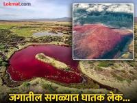 जगातील सगळ्यात सुंदर पण घातक लेक, पाण्याचा रंग रक्तासारखा लाल आणि किनाऱ्यावर मृतदेहांचा खच - Marathi News | Blood coloured lake in Tanzania can turn living creatures into stone statues | Latest jarahatke Photos at Lokmat.com