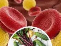 ना टॉनिक ना गोळ्या...शरीरातील रक्त शुद्ध करण्यासाठी मदत करतात या 7 नॅचरल गोष्टी! - Marathi News | 7 best natural home remedies to purify blood | Latest sakhi Photos at Lokmat.com