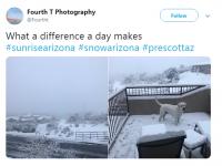 जेव्हा निसर्ग कलाकारी करतो, तेव्हा चित्र कसं दिसतं? बघा हे फोटो.... - Marathi News | Breathtaking photos of Sonoran desert | Latest social-viral Photos at Lokmat.com