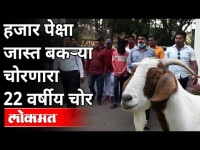 पुण्यात चलाख बकरी चोराचीच चर्चा का? Pune's Goat Thief Cought | Maharashtra News | Lokmat