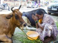 Budhwar Tips: करिअर तसेच व्यावसायिक प्रगतीसाठी बुधवारी 'हे' उपाय नक्कीच फायदेशीर ठरतील! - Marathi News | Budhwar Tips: For career as well as professional advancement on Wednesday 'these' remedies will definitely be beneficial! | Latest bhakti Photos at Lokmat.com