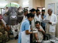 म्हशीला रेबीज, ३० जणांना टोचावे लागले इंजेक्शन! प्रकरण ऐकाल तर हादरून जाल - Marathi News | Buffalo has rabies, 30 people had to be injected! You will be shocked to hear the case | Latest national News at Lokmat.com