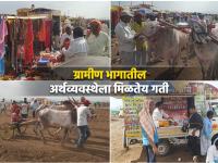 बैलगाडा शर्यतींमुळे वाढला 'भाव', अनेकांना रोजगाराची संधी; ग्रामीण भागात 'आड्ड्या'ची 'क्रेझ' - Marathi News | Due to the bullock cart race in the rural areas, many people are getting employment and the economy is getting a boost | Latest maharashtra Photos at Lokmat.com