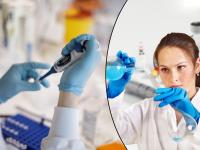 CoronaVirus News : लढ्याला यश! भारताने विकसित केलं स्वस्त कोरोना चाचणी किट; अवघ्या 20 मिनिटांत मिळणार रिझल्ट - Marathi News | CoronaVirus Marathi News iit hyderabad develops corona test kit results 20 minutes | Latest national Photos at Lokmat.com