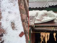 भंडाऱ्यात दुसऱ्या दिवशीही गारपीट, बळीराजा चिंताग्रस्त - Marathi News | Hailstorm in Bhandara on the second day too, farmer anxious after crop in water | Latest bhandara Photos at Lokmat.com