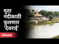 मुठा नदीकाठी फुलणार 'देवराई' | Mula - Mutha River In Pune | Raghunath Dhole | Maharashtra News