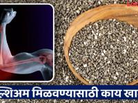 दुधापेक्षा अधिक पटीने कॅल्शिअम देणाऱ्या बीया. शरीरातील २०६ हाडं होतील मजबूत! - Marathi News | Dr told 5 foods that have more calcium than milk to make bones strong | Latest food Photos at Lokmat.com