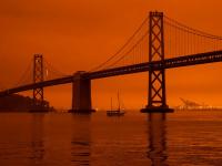 भीषण आगीनं कॅलिफोर्नियाचा आसमंत भगवा; ४ लाखांहून अधिक एकरावर पसरली आग - Marathi News | america Oregon Fire Hundreds Of Homes Burned To Ground California Bay Area Orange Skies | Latest international Photos at Lokmat.com