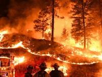 एक घर २५ कोटींचं, अशी हजारो बेचिराख! अमेरिकेच्या इतिहासातील सर्वात भीषण आग, नेमकं किती नुकसान? - Marathi News | los angeles fires loss of cost nearly 150 billion dollar may costliest disaster in us history | Latest business Photos at Lokmat.com