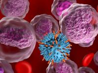 धक्कादायक... मेळघाटात व्यसनामुळे वाढतोय कॅन्सर; युवा ते प्रौढ व्यक्तींमध्ये रक्ताल्पता : संशोधन चमू काढणार निष्कर्ष - Marathi News | Shocking... Cancer is increasing in Melghat due to addiction; Anemia in young to old people: Research team to draw conclusions | Latest amravati News at Lokmat.com धक्कादायक... मेळघाटात व्यसनामुळे वाढतोय कॅन्सर; युवा ते प्रौढ व्यक्तींमध्ये रक्ताल्पता : संशोधन चमू काढणार निष्कर्ष - Marathi News | Shocking... Cancer is increasing in Melghat due to addiction; Anemia in young to old people: Research team to draw conclusions | Latest amravati News at Lokmat.com