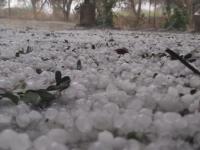 नाशिक जिल्ह्यात गारपीट, अवकाळीनं शेतीचं नुकसान - Marathi News | Hailstorm in Nashik district, untimely damage to agriculture | Latest nashik Photos at Lokmat.com