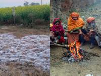 उत्तर भारत थंडीने गारठला, दवबिंदूंचा झालाय बर्फ - Marathi News | North India freezes, dew drops snow in northeast rajasthan | Latest national Photos at Lokmat.com