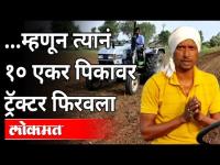 १० एकर सोयाबीन पिकावर शेतकऱ्यानं फिरवला नांगर | Prashant Khode | Sangrampur | Maharashtra News