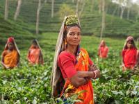 चाणक्यनीति सांगते 'या' चार बाबतीत महिला असतात पुरुषांपेक्षा सरस! - Marathi News | Chanakyaniti says that in these four cases, women are better than men! | Latest bhakti Photos at Lokmat.com