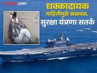 जिथे INS विक्रांतचा तळ, जवळच अणुकेंद्र, तिथे उडत उडत पोहोचला चिनी हेर, असा सापडला जाळ्यात - Marathi News | Chinese spy flies to INS Vikrant base, near nuclear power plant, caught in the net | Latest national News at Lokmat.com