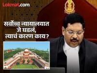 सरन्यायाधीश गवईंवर बूट फेकण्याचा प्रयत्न करणारा वकील कोण? कशामुळे हे घडलं? - Marathi News | Who is the lawyer who tried to throw a shoe at Chief Justice Gavai? What caused this to happen? | Latest national Photos at Lokmat.com