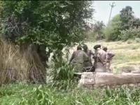 रहस्यमय! एकाच कुटुंबातील ११ जणांच्या मृत्यूचं गुढ उकलेना; हत्या, आत्महत्या की तंत्रमंत्र? - Marathi News | Rajasthan: 11 members of a family, that had migrated from Pakistan found dead in home | Latest crime Photos at Lokmat.com