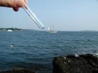 खूशखबर! जगाला त्रस्त करणाऱ्या व्हायरसला खाणारे सूक्ष्मजीव अखेर समुद्रात सापडले - Marathi News | Good news! Choanozoan and picozoan marine protists are probably virus eaters: study | Latest international Photos at Lokmat.com