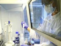 Coronavirus: ‘मॉडर्ना’च्या कोरोना लस चाचणीला मोठं यश; व्हायरसचं खात्मा होणार अन् संसर्गही रोखणार - Marathi News | Coronavirus: Moderna Coronavirus Vaccine Worked Well In Macaques | Latest health Photos at Lokmat.com