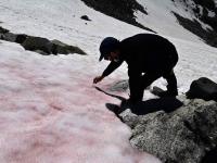 लोणार सरोवरानंतर आता इटलीच्या पहाडांवरील बर्फ झाला गुलाबी, वैज्ञानिक हैराण; सांगितलं असं कारण - Marathi News | Italian alps glacial ice turning pink due to algal blooms | Latest international Photos at Lokmat.com