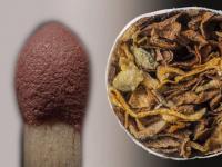 रोजच्या वापरातील 'या' वस्तू कधी मायक्रोस्कोपमधून पाहिल्यात? बघाल तर विश्वास बसणार नाही.... - Marathi News | 15 Amazing close up photos of everyday objects | Latest social-viral Photos at Lokmat.com