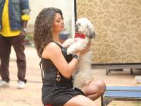 तेजस्विनी पंडीतचे बबली इमेज फोटो - Marathi News | Tejaswini Pandit's Babli image photo | Latest filmy Photos at Lokmat.com