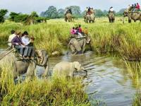 ​‘या’ राष्ट्रीय उद्यानांना भेट दिली का? - Marathi News | Did you visit these 'National Parks'? | Latest travel Photos at Lokmat.com