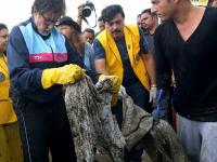 महानायक अमिताभ बच्चन यांनी मुंबईकरांना दिली शिकवण; वर्सोवा बीचवर अर्धा तास केली स्वच्छता ! - Marathi News | Amitabh Bachchan's teachings to Mumbaiites; Half an hour of cleanliness in Versova Beach! | Latest filmy Photos at Lokmat.com