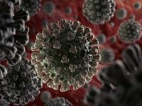 CoronaVirus News: धोका वाढला! कोरोना विषाणूनं शरीरात प्रवेश करण्याचा नवा मार्ग शोधला - Marathi News | coronavirus enters human body with the help of protein | Latest health Photos at Lokmat.com