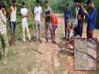 साप तरुणाला चावला, रागाच्याभरात तरुणानेही सापाचा चावा घेतला! प्रकरण ऐकून डॉक्टरही हैराण - Marathi News | A snake bit a young man, in a fit of anger the young man also bit the snake! Even the doctor was shocked to hear the case | Latest jarahatke News at Lokmat.com साप तरुणाला चावला, रागाच्याभरात तरुणानेही सापाचा चावा घेतला! प्रकरण ऐकून डॉक्टरही हैराण - Marathi News | A snake bit a young man, in a fit of anger the young man also bit the snake! Even the doctor was shocked to hear the case | Latest jarahatke News at Lokmat.com