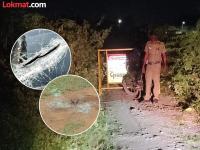 प्रियकरासमोरच गाडीतून खेचत नेलं, विमानतळाजवळ सामूहिक अत्याचार; पोलिसांकडून आरोपींचा एन्काऊंटर - Marathi News | Coimbatore gang rape case Three accused arrested after half encounter shot in leg | Latest crime News at Lokmat.com प्रियकरासमोरच गाडीतून खेचत नेलं, विमानतळाजवळ सामूहिक अत्याचार; पोलिसांकडून आरोपींचा एन्काऊंटर - Marathi News | Coimbatore gang rape case Three accused arrested after half encounter shot in leg | Latest crime News at Lokmat.com