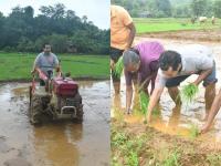आमदार नितेश राणे रमले शेतात; नवा लूक पाहून सगळ्यांनाच बसला आश्चर्याचा धक्का - पाहा PHOTO - Marathi News | PHOTO MLA Nitesh Rane works in the field; Everyone was shocked to see the new look | Latest maharashtra Photos at Lokmat.com