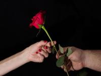 Valentine ला गुलाबापेक्षाही 'या' वस्तूची झाली रेकॉर्डब्रेक विक्री; ऐकून हैराण व्हाल - Marathi News | Condom Sales increased On Valentine's Day by 22 percent | Latest jarahatke Photos at Lokmat.com